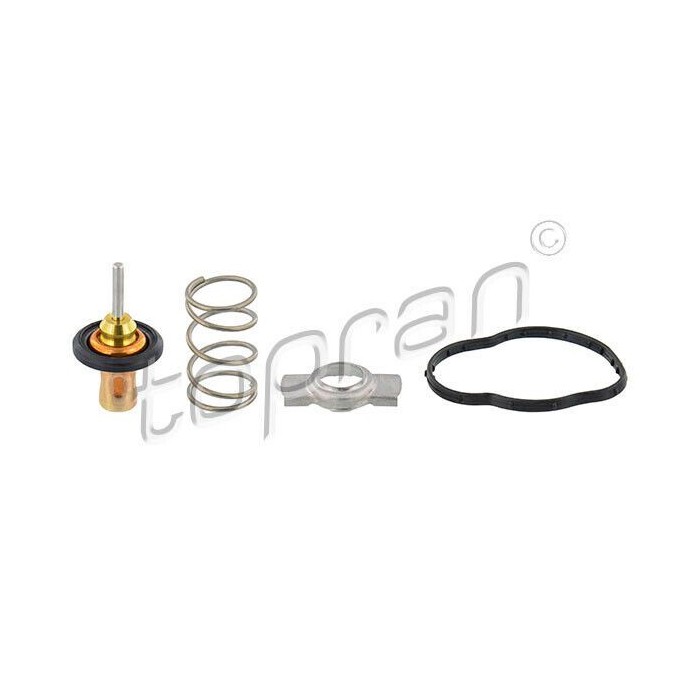 Thermostat d'eau Citan Juke Note II Captur Clio Kangoo Mégane Scénic 6072000215S