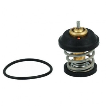 Thermostat d'eau Audi A3 A4 Alhambra Exeo Octavia Amarok Beetle Jetta 06H121113B