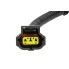 Faisceau Fil De L'alternateur Pour Ford Transit Connect 2003-2009 4998243