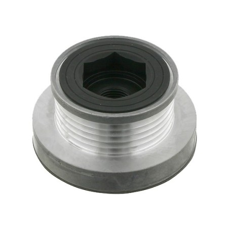 Poulie Non Débrayable D'alternateur 5 Gorges Pour Logan Laguna Clio 8200113636